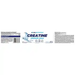 Allnutrition CREATINE MUSCLE MAX 250g