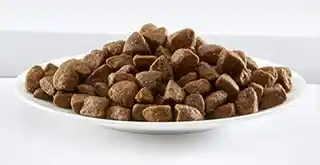 Applaws Adult dla małych i średnich ras, kurczak i jagnięcina - 15 kg