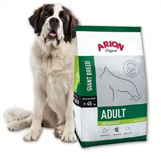 Arion Original Giant Breed, kurczak i ryż - 12 kg