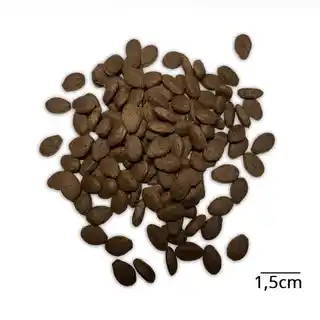 Baltica sucha karma dla psa salmon hypoallergenic średni rozmiar 9kg