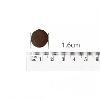 Baltica Adult Sensitive M 9kg karma dla psów średnich ras z rybami bałtyckimi