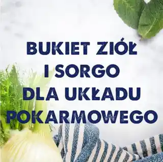 Baltica karma dla dużych ras L XL jagnięcina, ryż 12kg