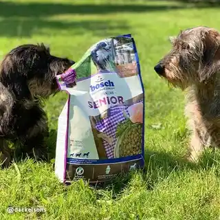 Bosch Senior 12.5 kg - sucha karma dla starszego psa 12.5kg