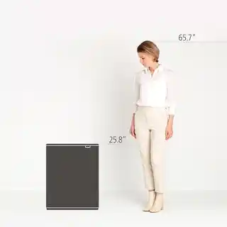 Brabantia Kosz na śmieci Touch Bin BO 60L stal matowa FPP 223082