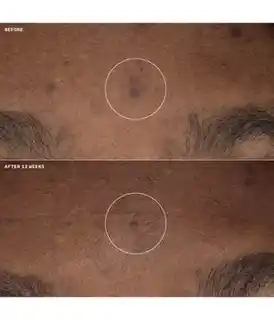 Clinique Even Better Clinical Brightening Moisturizer Krem do twarzy 50ml