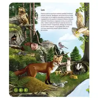 Czytaj z Albikiem Świat Zwierząt 72305