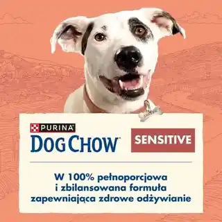 Purina Dog Chow Sensitive Łosoś 14 plus 2,5 kg