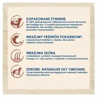 Purina Dog Chow Sensitive Łosoś 14 plus 2,5 kg