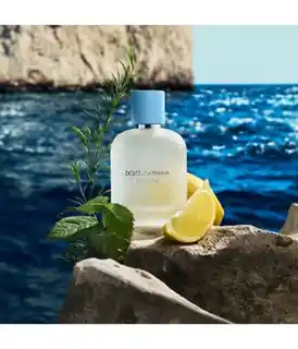 Dolce & Gabbana Light Blue Pour Homme Woda toaletowa 50 ml