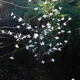 Elight Lampa solarna Tree EKO1448