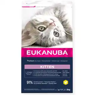 Eukanuba Healthy Start Kitten - 2 kg karma sucha
