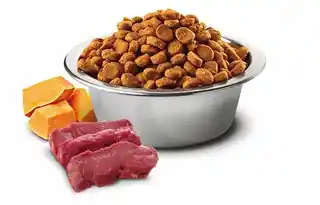 Farmina Karma dla psa N D Pumpkin Vension Jeleń z dynią i jabłkiem Adult Mini 2 kg