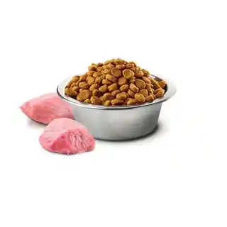 Farmina N&D Brown Dog Lamb, Spirulina& Carrot Adult Mini 2kg