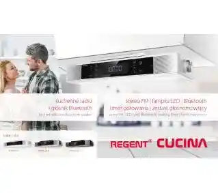 Ferguson Regent Cucina Radio FM Bluetooth Srebrny Radioodbiornik