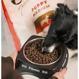 Fitmin Karma dla psa Medium Puppy Drób z mięsem ryb i wątróbką 12 kg