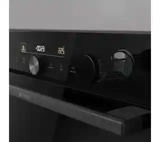 Gorenje BPSA6747A36DBG Termosonda Czarny Piekarnik elektryczny