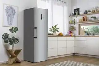 Gorenje Zamrażarka szafowa FN619EAXL6 I