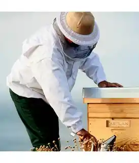 Guerlain Abeille Royale ujędrniające serum do twarzy 50ml