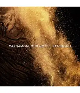 Guerlain Absolus Allegoria Epices Exquises Woda perfumowana 125 ml