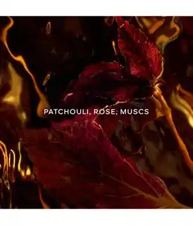 Guerlain Absolus Allegoria Patchouli Ardent Woda perfumowana 125 ml