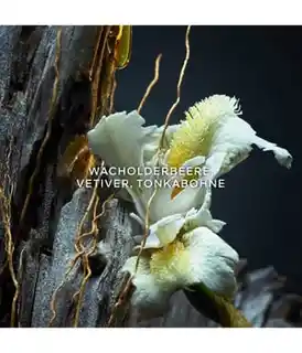 Guerlain Vetiver Perfumy 100 ml