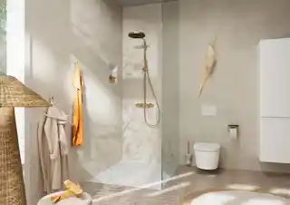 Hansgrohe AddStoris Szczotka WC brąz szczotkowany 41752140