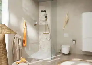 Hansgrohe AddStoris Szczotka WC brąz szczotkowany 41752140