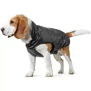 Hunter Kurtka dla psa Tampere 62899 25 cm Czarny