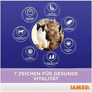 Iams Adult Multicat - sucha karma dla kota - 15kg