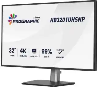 Iiyama ProGraphic HB3201UHSNP-B1 31,5 4K IPS Black 2.0 60Hz 4ms Profesjonalny Monitor LED