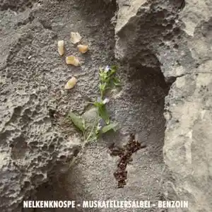 Jil Sander Sun Male Perfumy 75 ml