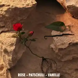 Jil Sander Sunset Intense Woda perfumowana 75 ml