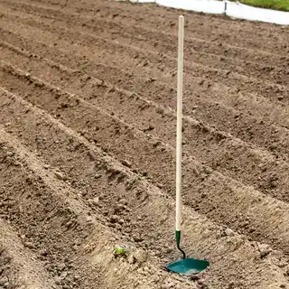 Kadax Obsypnik z trzonkiem Alby 149 x 29 cm, zielony