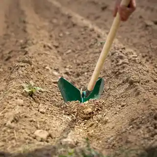 Kadax Obsypnik z trzonkiem Alby 149 x 29 cm, zielony