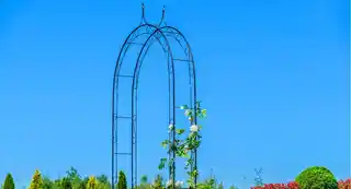 Kadax pergola ogrodowa na kwiaty Atri 281 cm czarna