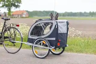Karlie Przyczepka rowerowa dla psa Doggy Liner do 50 kg