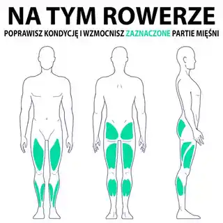 Kettler Rower Stacjonarny Axos Avior P Black Ht1003-100