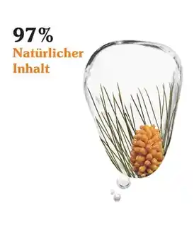 Korres Black Pine Primus Przeciwzmarszkowy krem na noc 40ml