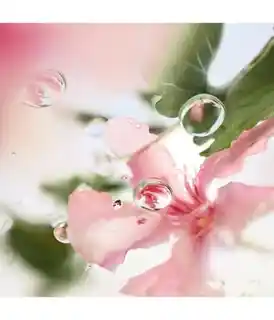 Lancome Les o over the Top Woda toaletowa 100 ml