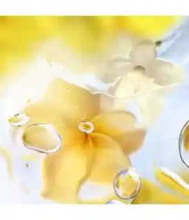 Lancome Les o Zenith Woda toaletowa 100 ml