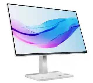 Lenovo L24m-4A 23,8 Full HD IPS 100Hz 1ms Monitor LED