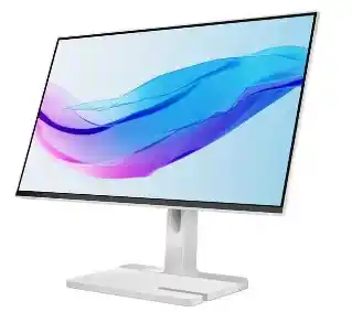 Lenovo L24m-4A 23,8 Full HD IPS 100Hz 1ms Monitor LED