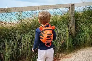 LittleLife Plecak dla malucha ze zwierzętami z wodzą bezpieczeństwa L10817