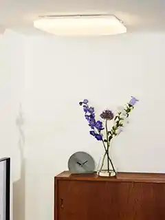 Lucide plafon lampa sufitowa LED OTIS 79198 42 61, nowoczesny panel LED, biały, energooszczędna, regulowany strumień światła