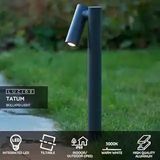 Lucide reflektor zewnętrzny Tatum 27895/05/29, LED, antracyt, 29 cm, aluminium, IP65