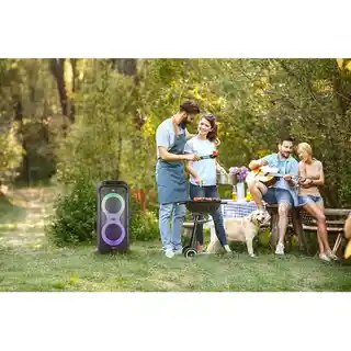 Manta Głośnik Karaoke Power Audio PALLAS SPK0805B140