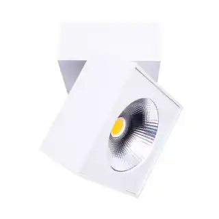 MaxLight Oprawa sufitowa biała techniczna ARTU C0106