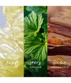 Mexx Inspired Nature Men Woda perfumowana 50 ml