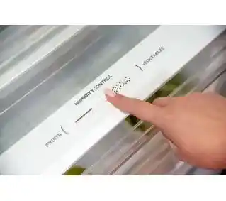 MPM 387-CJF-38/D No Frost 185cm Night Inox Lodówka