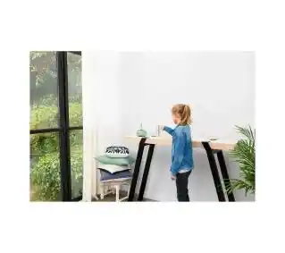 Netatmo Weather Station plus Indoor Modul Stacja pogody